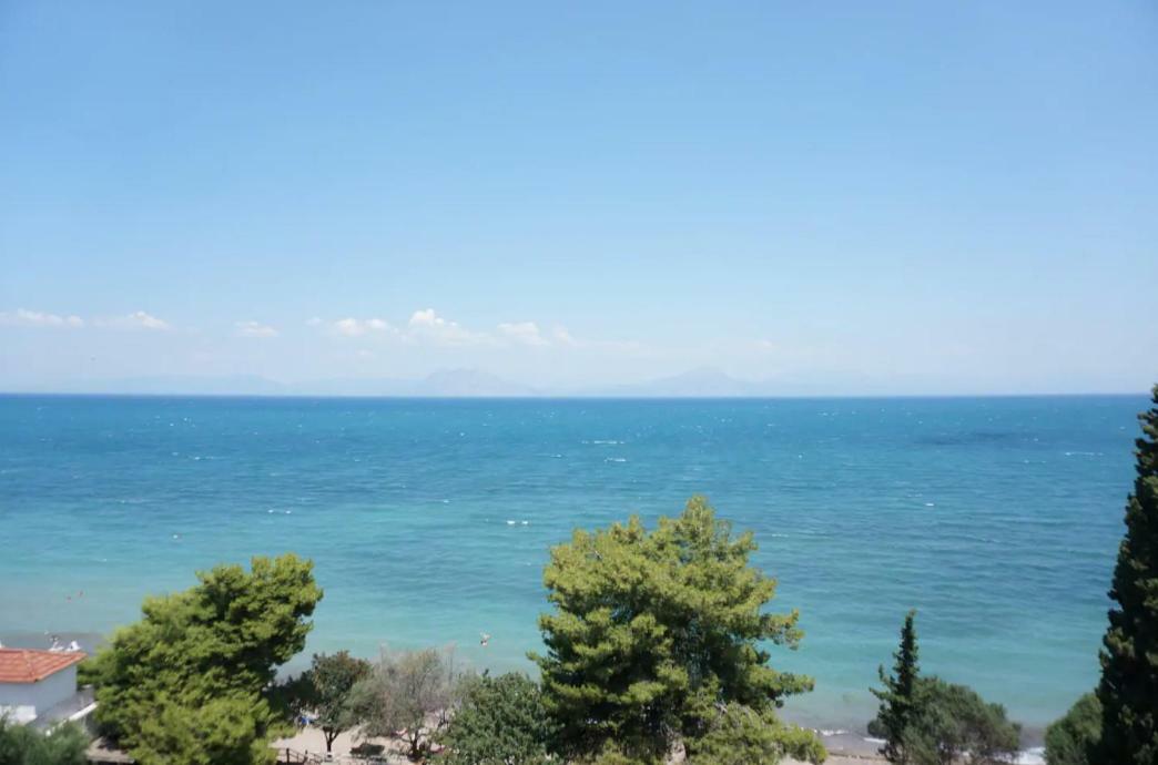 Sea Side Villa Alexandra Alissos المظهر الخارجي الصورة